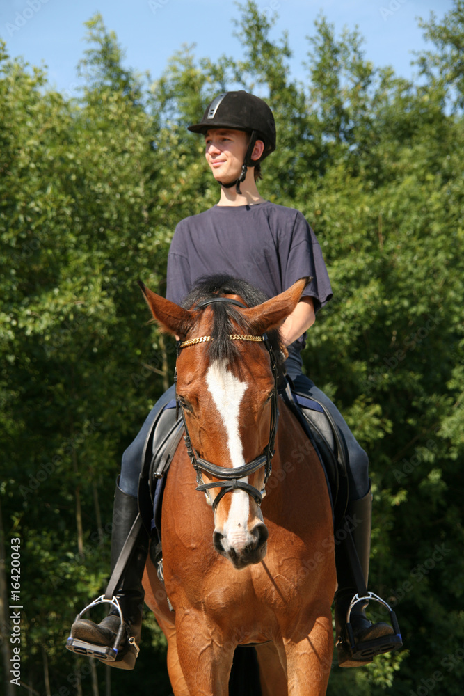 Fototapeta premium Junger Reiter
