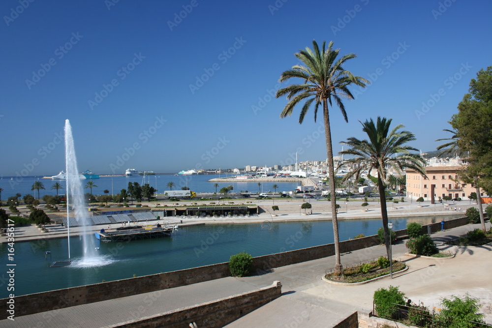 Fototapeta premium Blick von der Kathedrale Palma