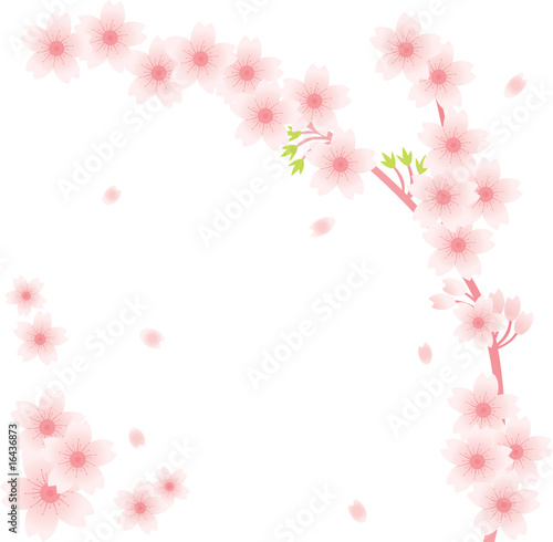 Floral Ornament - Sakura