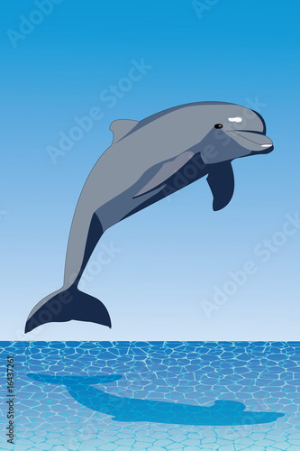 Delfin salando
