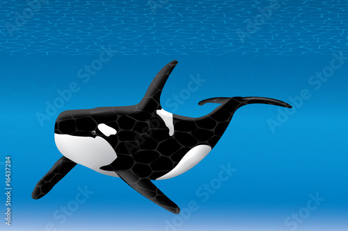 Orca en el fondo del mar