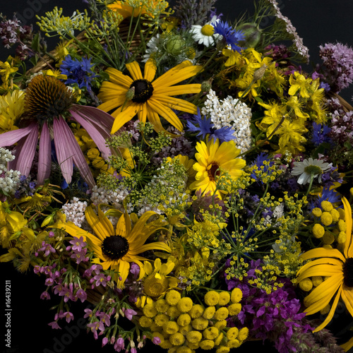 Heilpflanzenstrauss, Arrangement, photo