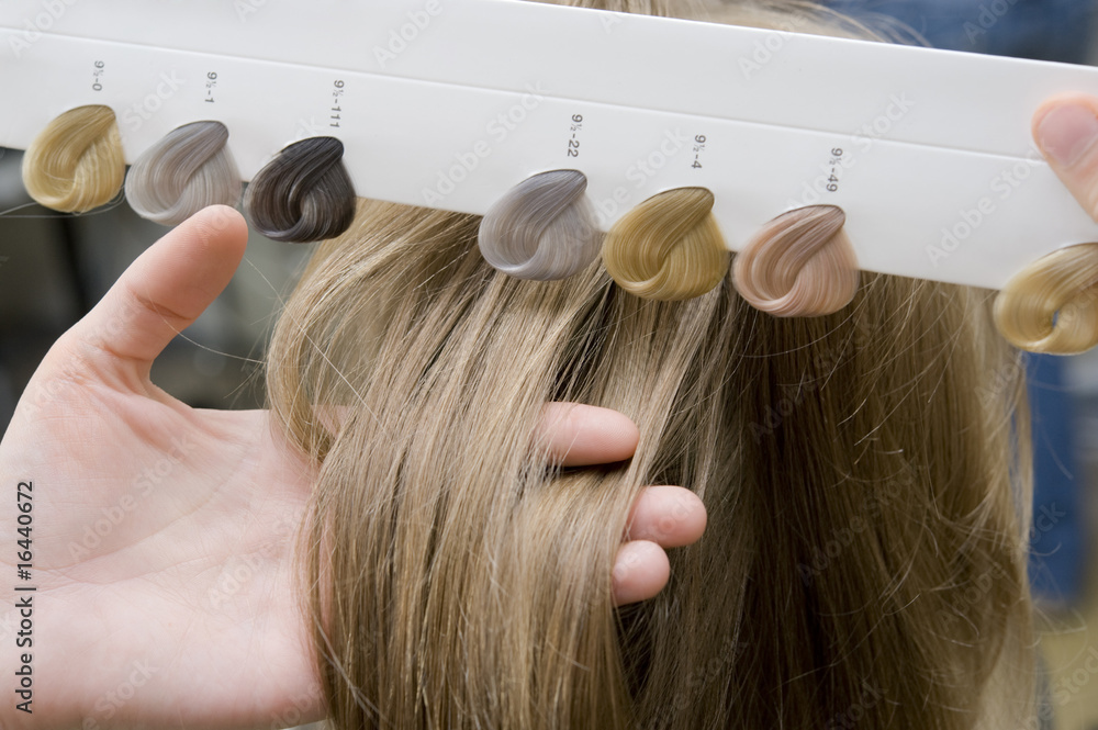 Naklejka premium Hairdresser chooses tone of hair swatches