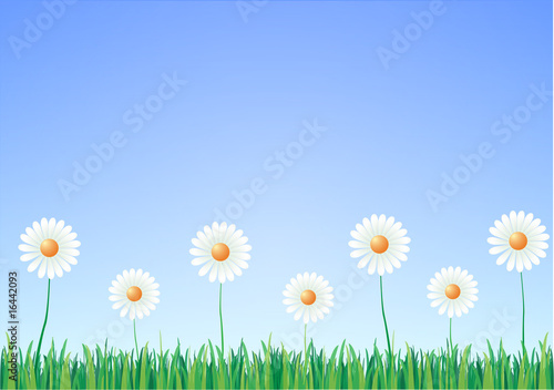Hierba Flores