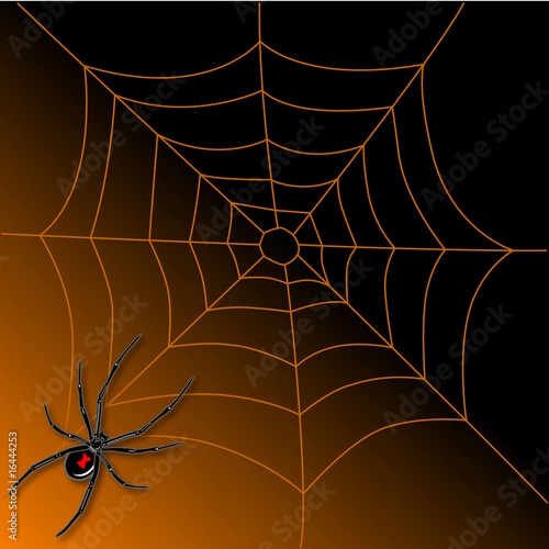 Halloween Spider Border
