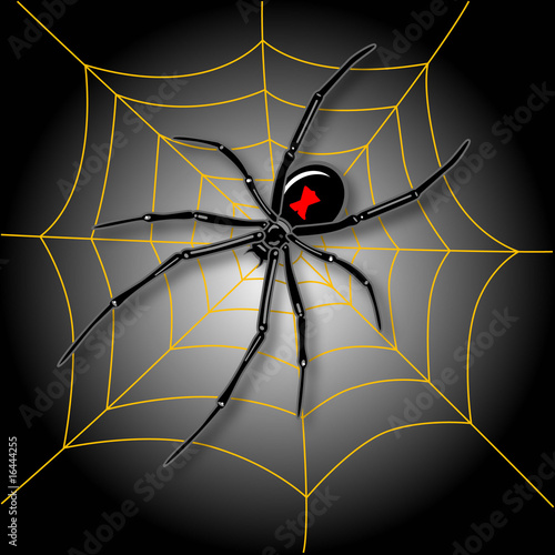 Halloween Spider