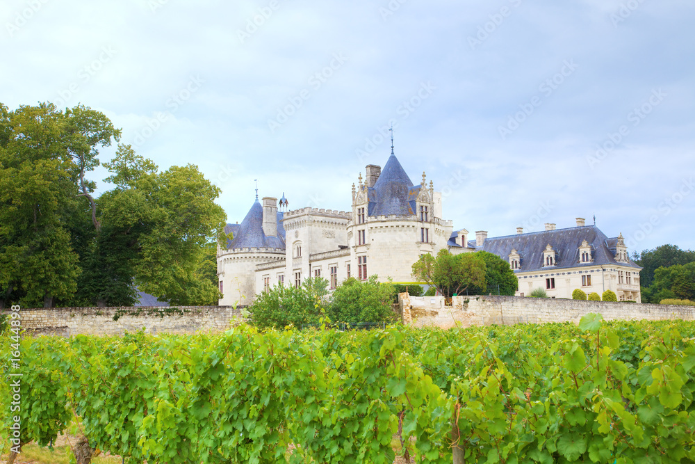 Breze chateau and vineyard, France