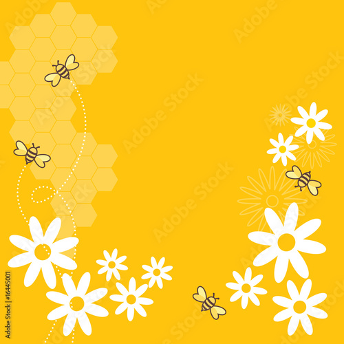 Honey Bees