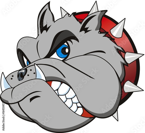 vector Bulldog head.  Very angry