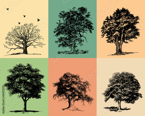 Trees