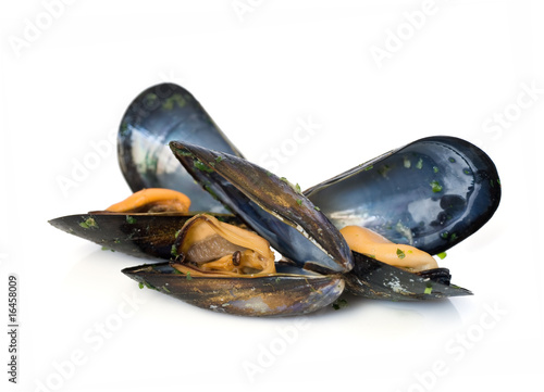 three mussels