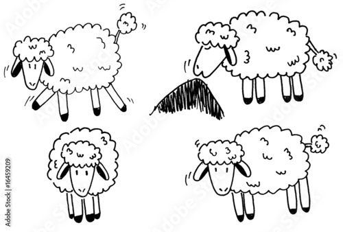 cute sheeps