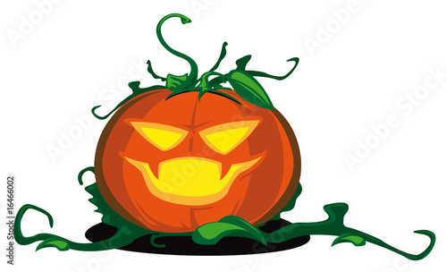 Halloween Kürbis Solo