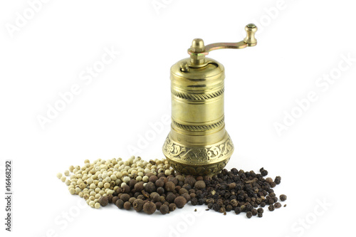 Spice mill with dash of pepper.