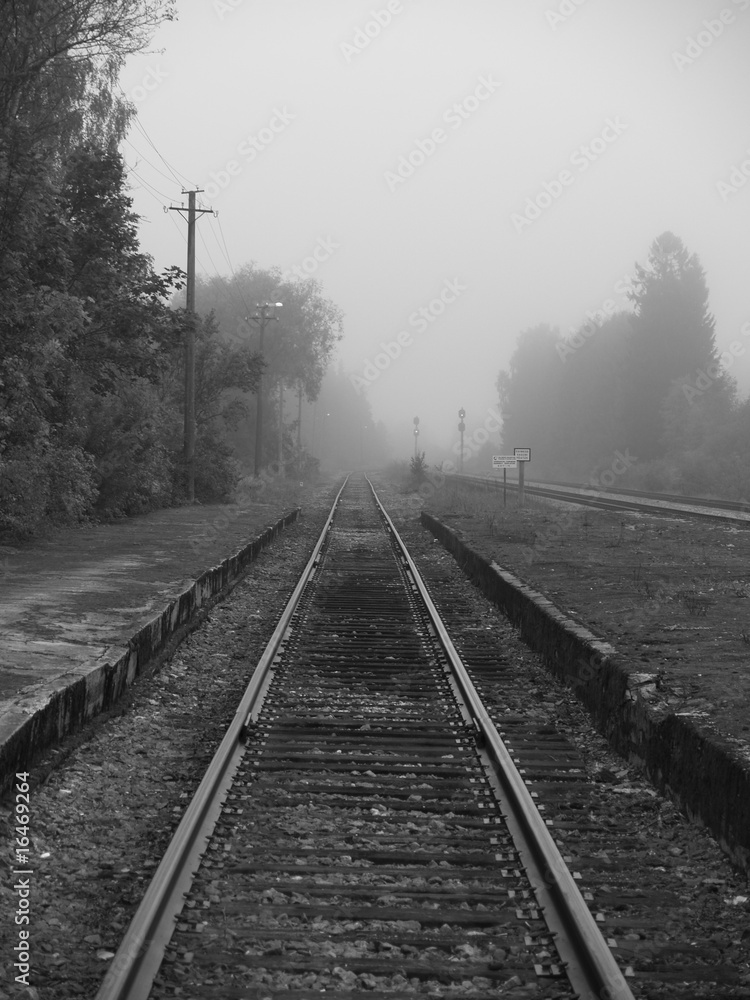 Rails, black and white