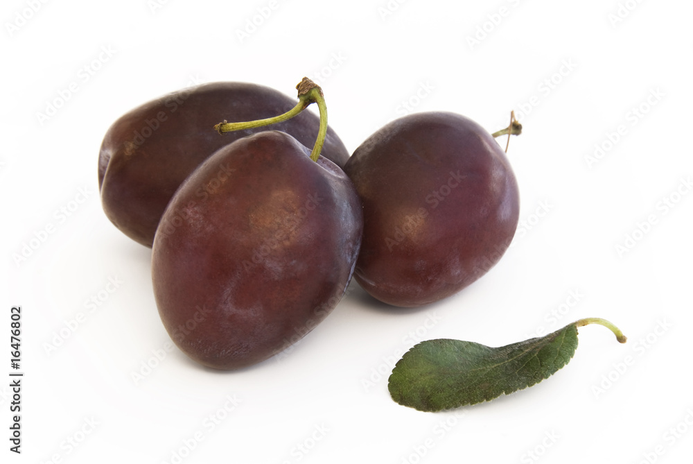 Fototapeta premium Plum group