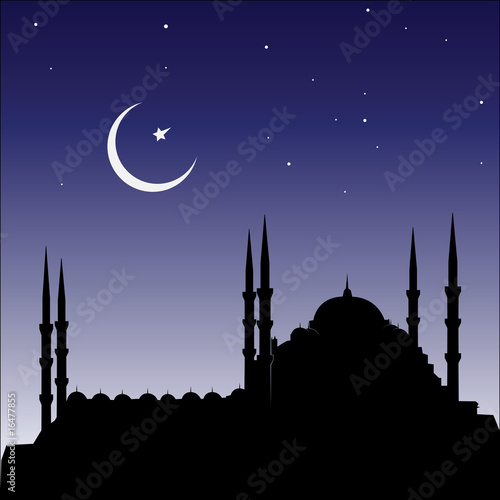 Vector silhouette of mosques and minaretts