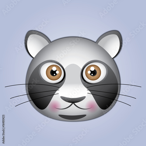 Cabeza de mapache