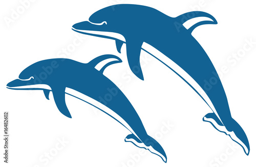 Two dolphins photo