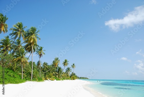 Fototapeta Naklejka Na Ścianę i Meble -  Beach paradise with palm trees