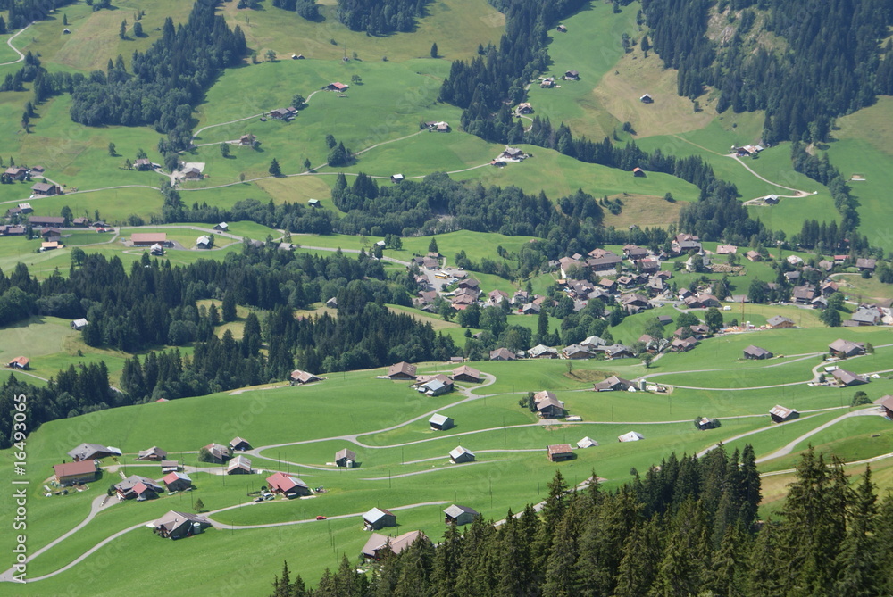 Obraz premium SONY DSC