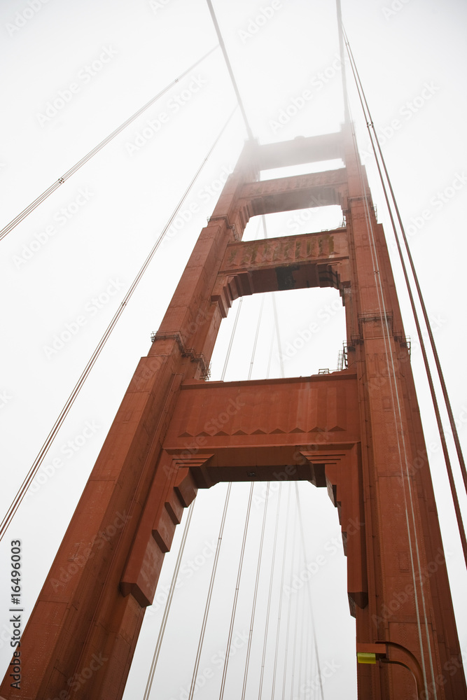 Fototapeta premium goldengate