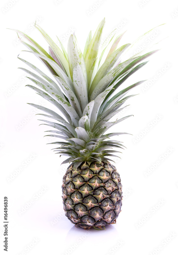 Pineapple on a white background