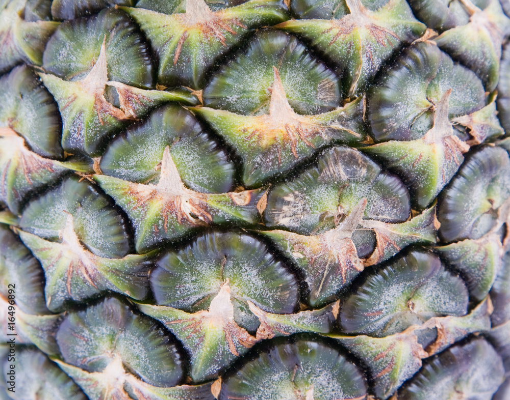 Pineapple bark Pineapple bark