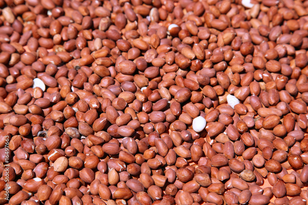 peanuts peanuts