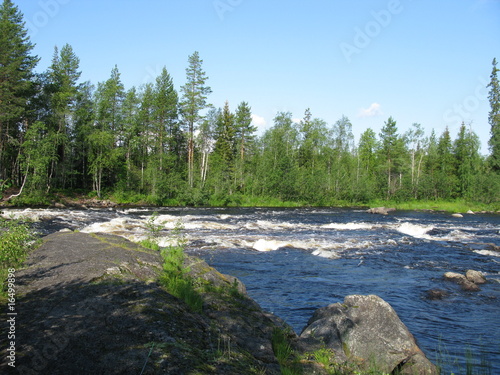 Wood and river in Kareliya, Russia photo