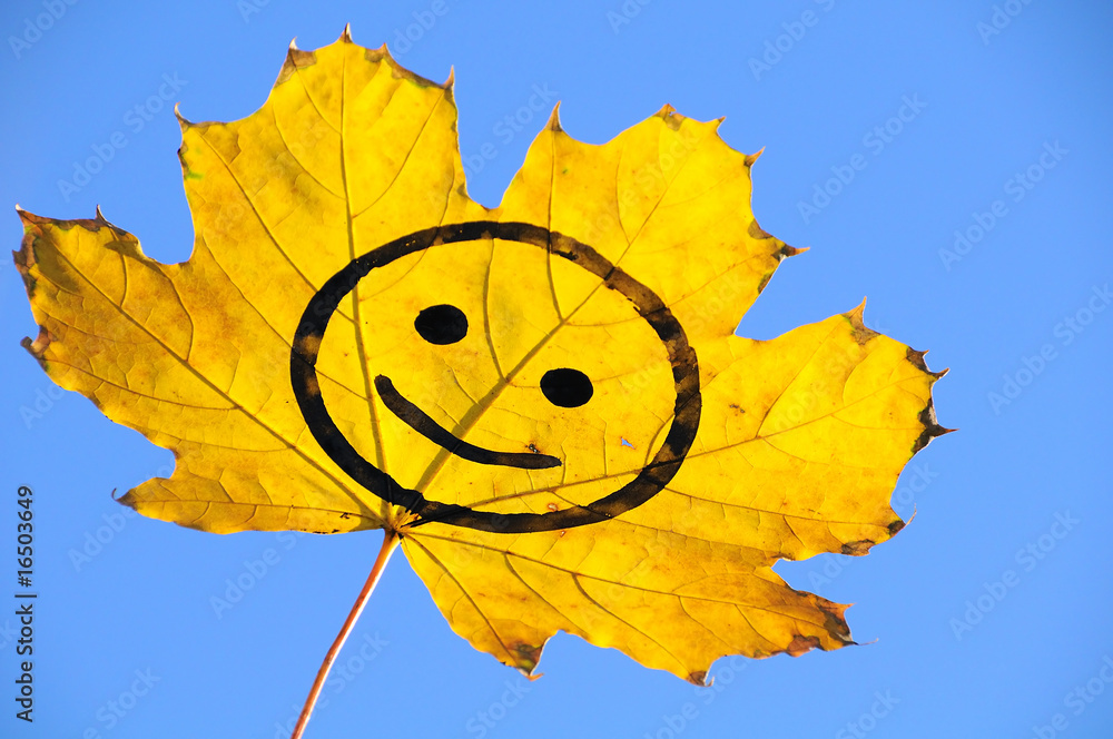 Obraz premium smile on the leaf-1