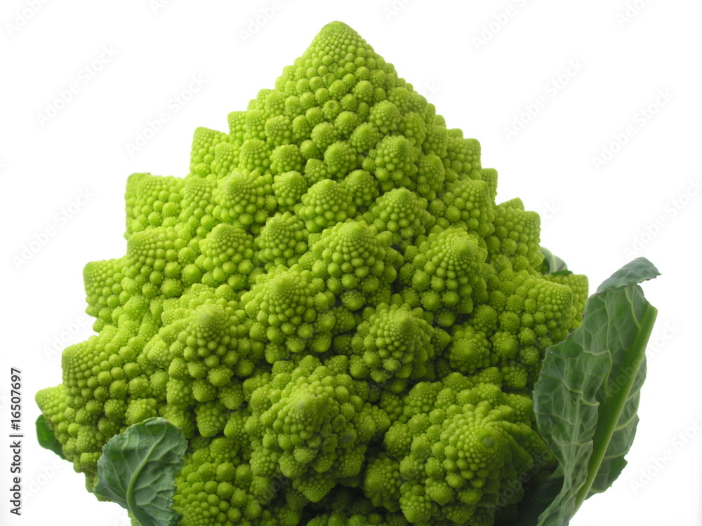 Brassica_Romanesco Brassica_Romanesco