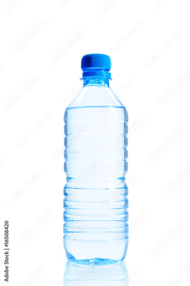 Bottle Bottle