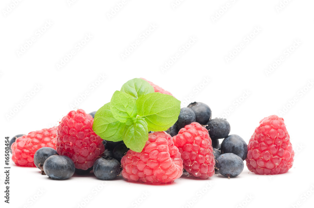 forest berries forest berries