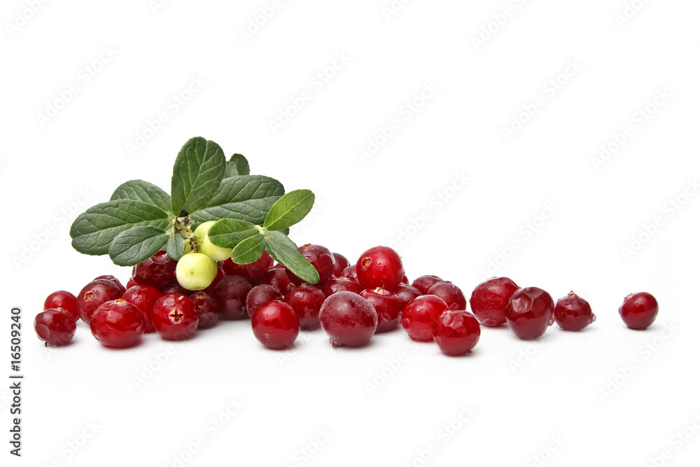 Scattering of ripe cranberries on white background Scattering of ripe cranberries on white background