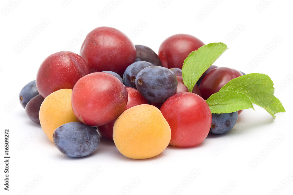 fresh plums on white background