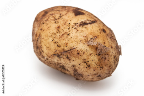 Potato isolated