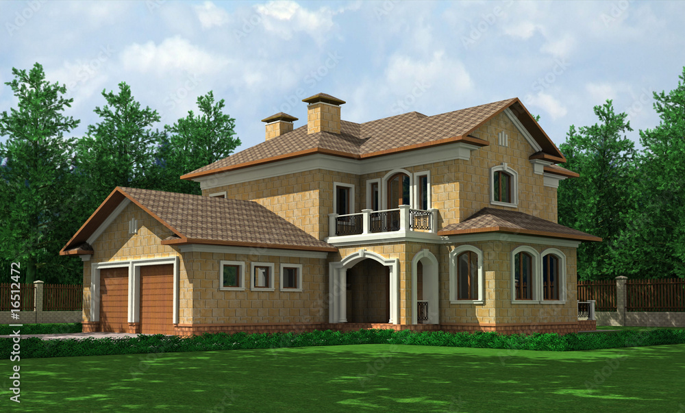 Fototapeta premium modern house