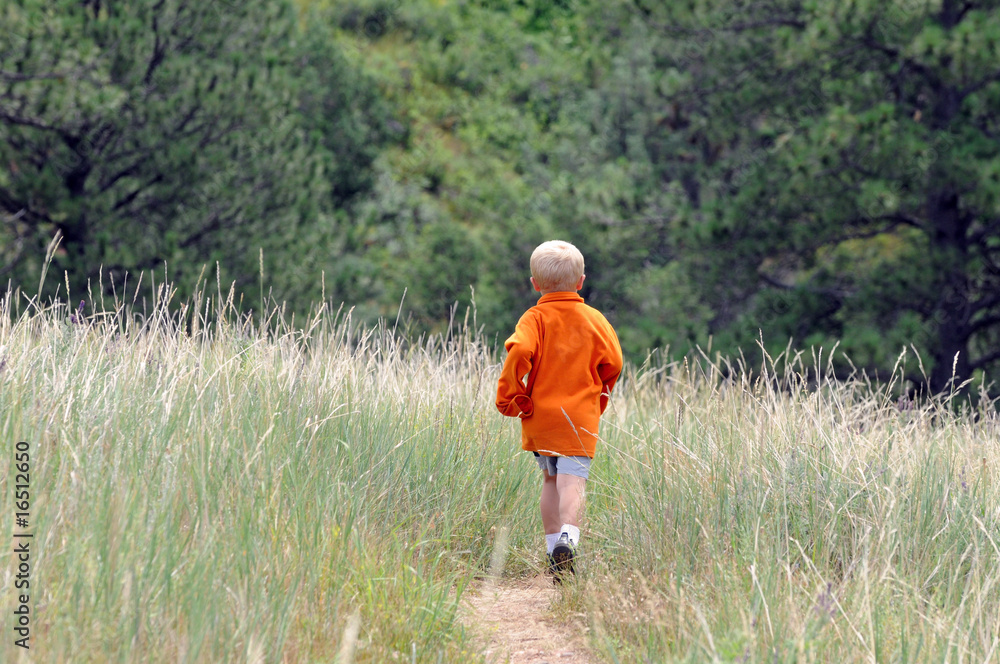 Little Boy on Hiking Trail Little Boy on Hiking Trail