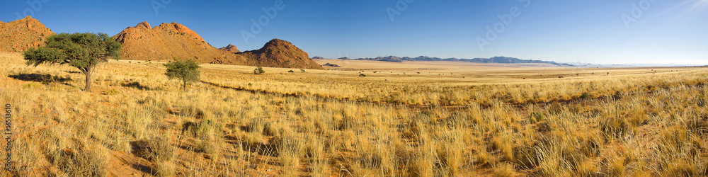 Fototapeta premium endless africa