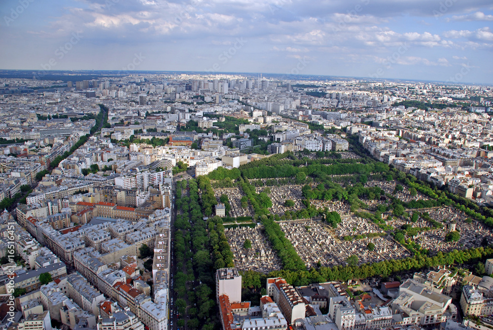 Fototapeta premium Paris View