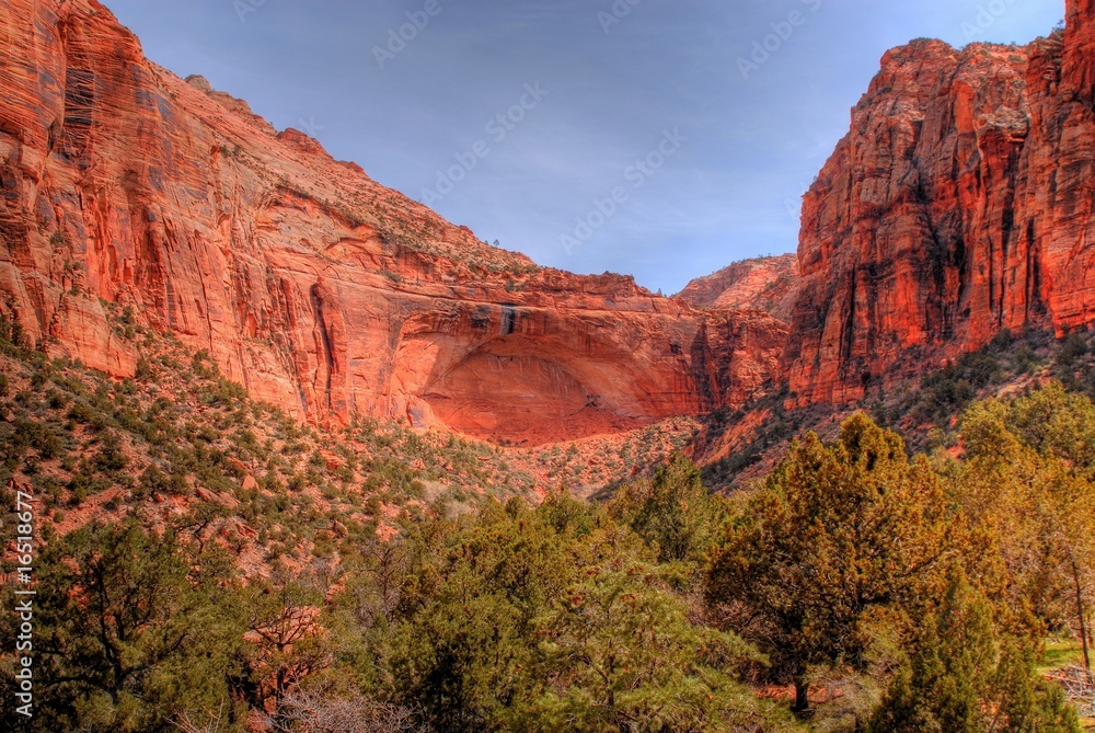Naklejka premium Zion National Park