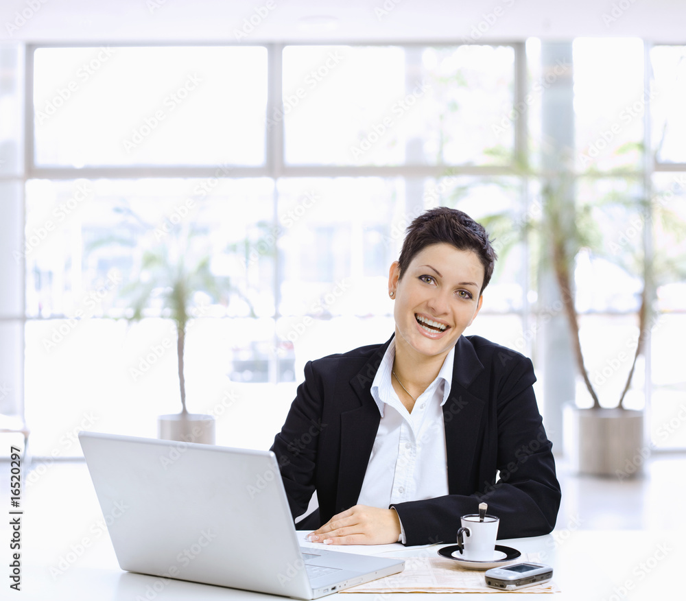 Businesswoman working on computer Businesswoman working on computer