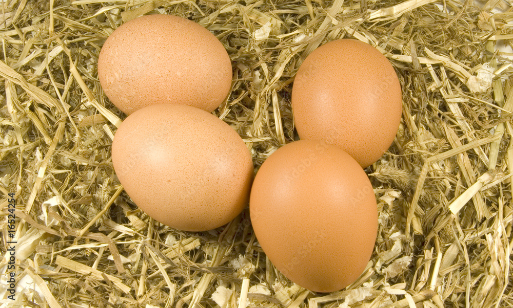 four freshly laid chicken eggs on hay and straw