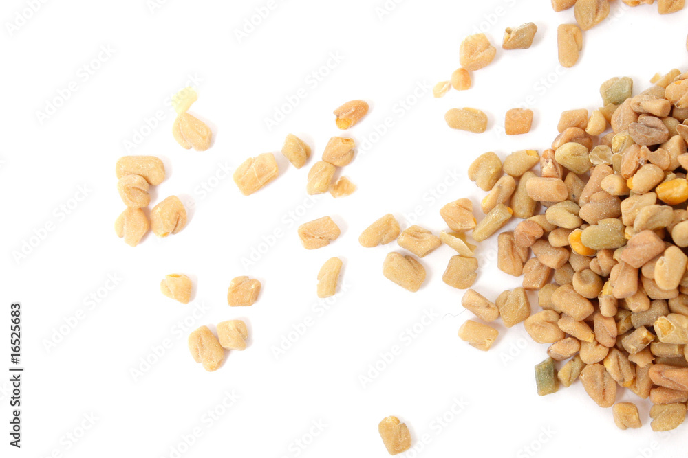 Fenugreek Fenugreek
