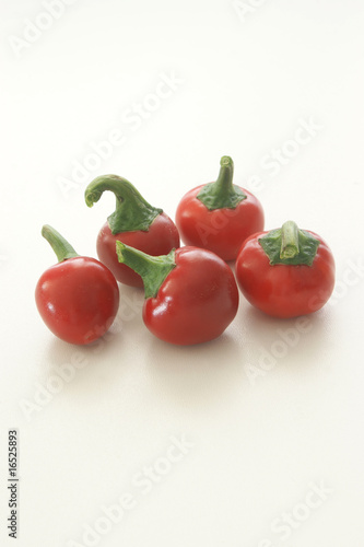 Wallpaper Mural organic cherry paprika is a very hot spice Torontodigital.ca