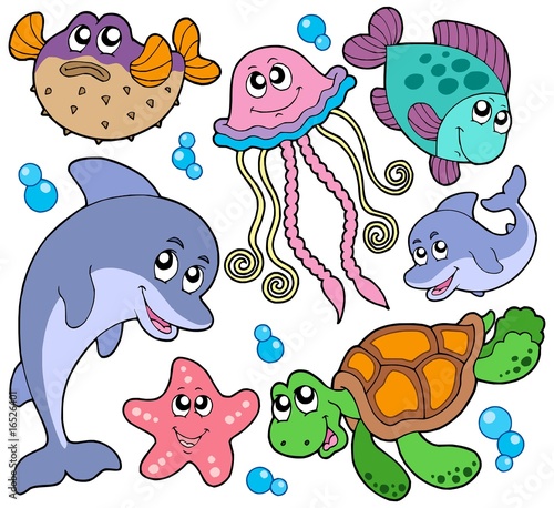 Sea fishes and animals collection