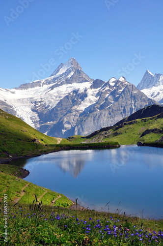 Paysage de montagne