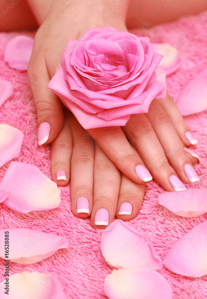 rose for female hands rose for female hands