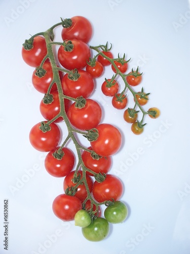 Grappe tomates cerises